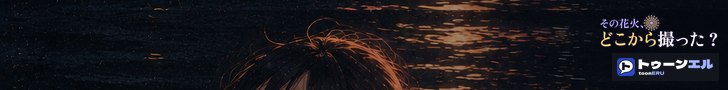 その花火、どこから撮った?|トゥーンエル
